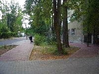 ul. Piasta, Milan�wek