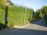 ul. Klonowa, Mialn�wek